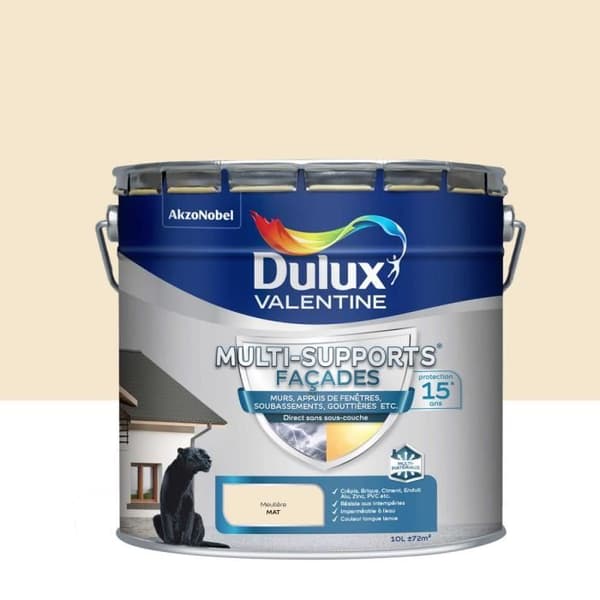 Målarfärg för flera underlag - DULUX VALENTINE - Meulière - 10 L - Matt - Akryl
