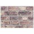 Miniatyrbilde 5 av 6: vidaXL 3D-veggpaneler 10 stk mørkebrun 100x50 cm EPS