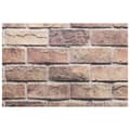 Miniatyrbilde 5 av 6: vidaXL 3D-veggpaneler 10 stk brun 100x50 cm EPS