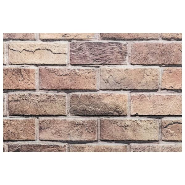 vidaXL 3D-veggpaneler 10 stk brun 100x50 cm EPS