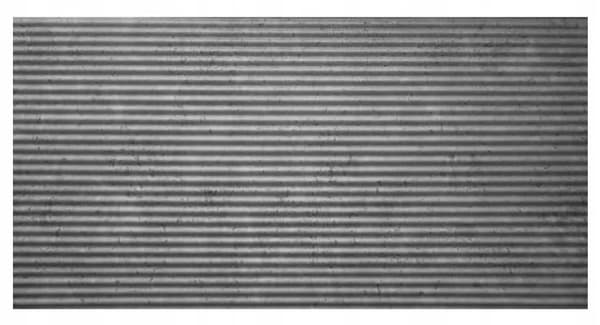Dekorativa väggpaneler 100x50 cm, 8-pack, grafitfärgade