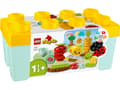 Miniatyrbild 1 av 4: Klocki DUPLO 10984 Ogród uprawowy