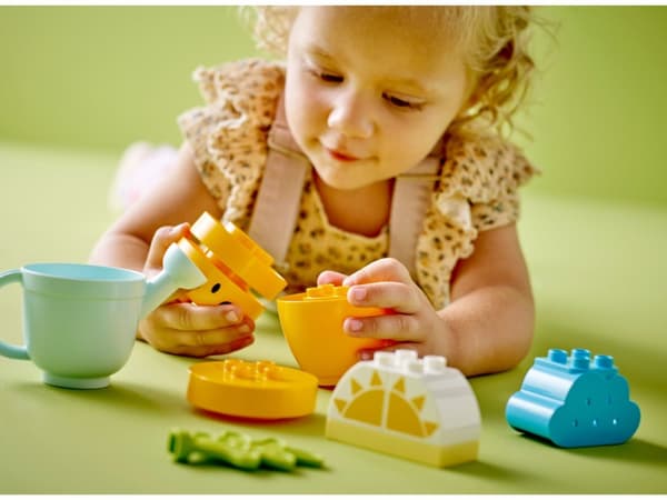 Klocki DUPLO 10981 Rosnąca marchewka
