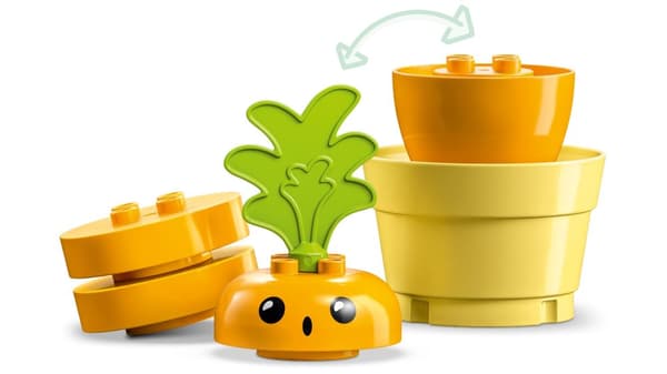 Klocki DUPLO 10981 Rosnąca marchewka