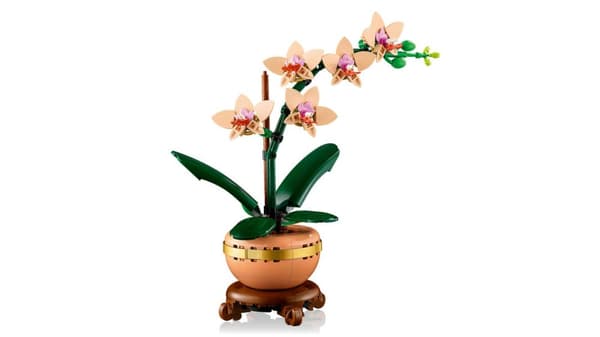 LEGO Botanicals 10343 Miniorkidé
