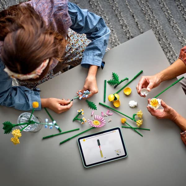 LEGO Botanicals 10347 Liten sommarbukett