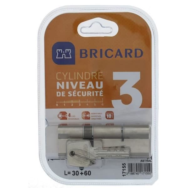Bricard ASTRAL 2.9 Urkopplingsbar cylinder i förnicklad mässing, 10 kolvar, 2 inlopp 30+60, skydd mot borrning