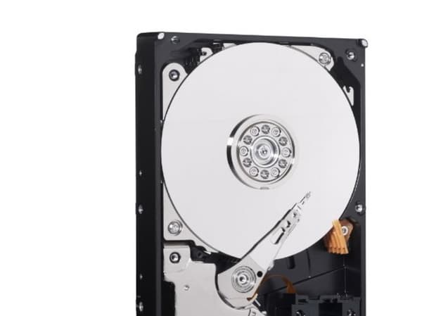 WD Desktop Everyday WDBH2D0030HNC - Hårddisk - 3 TB - intern - 3,5" - SATA 6Gb/s - buffert: 64 MB