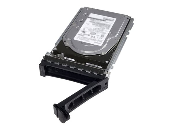 DELL 400-AEGK interna hårddiskar 3.5" 4000 GB Serial ATA III