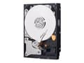 Pikkukuva 4 / 5: Western Digital Blue, 3.5", 500 GB, 7200 RPM