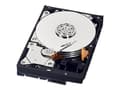 Pikkukuva 5 / 5: Western Digital Blue, 3.5", 500 GB, 7200 RPM