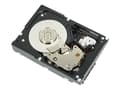 Pikkukuva 1 / 4: DELL 4TB NL-SAS 3.5" 4000 GB