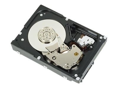 Dell - Hårddisk - 2 TB - intern - 3,5" - SAS 6Gb/s - NL - 7200 rpm