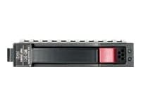 HPE Entry - Harddisk - 160 GB - hot-swap - 3.5" - SATA 3Gb/s - 7200 rpm