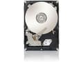 Miniatyrbild 3 av 3: Lenovo 40Y9036, 3,5", 250 GB, 7200 rpm