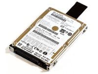 Lenovo FRU42T1485, 100 Gt, 7200 rpm