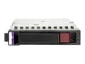 Miniatyrbild 3 av 5: HPE - Hårddisk - 750 GB - hot-swap - 3,5" LFF - SATA 3Gb/s - 7200 rpm