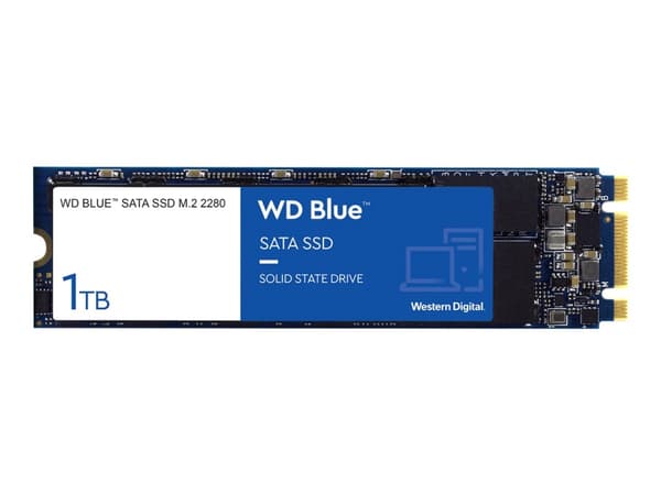 WD Blue 3D NAND SATA SSD WDS100T2B0B - SSD - 1 TB - intern - M.2 2280 - SATA 6Gb/s