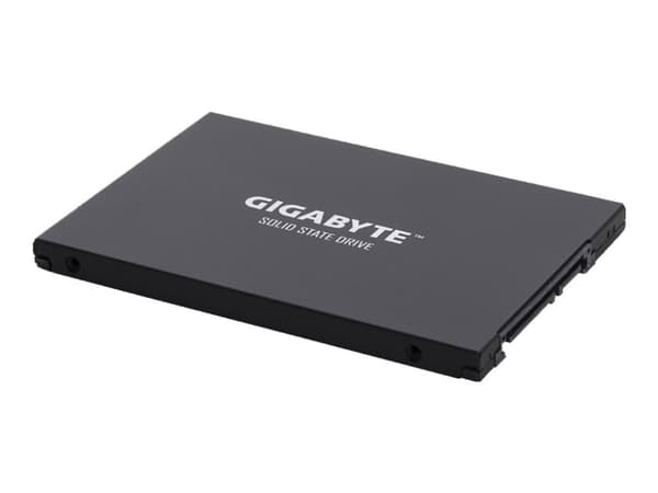 Gigabyte UD PRO Series GP-GSTFS30256GTTD - SSD - 256 GB - sisäinen - 2,5" - SATA 6Gb/s - puskuri: 256 MB
