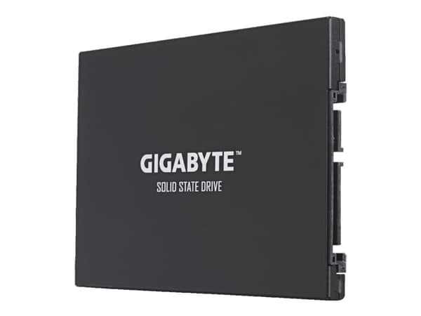Gigabyte UD PRO Series GP-GSTFS30256GTTD - SSD - 256 GB - sisäinen - 2,5" - SATA 6Gb/s - puskuri: 256 MB
