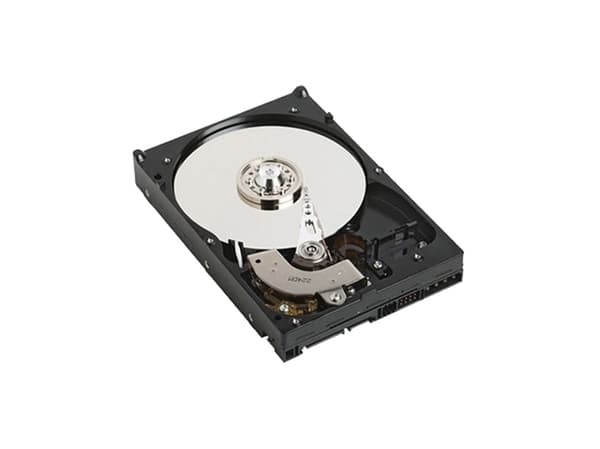 Dell - Harddisk - 1 TB - intern - 3.5" - 7200 rpm - oppusset - for PowerEdge R210, R310, R515, R710, T110, T410, T610, T710; Precision T3500, T5500