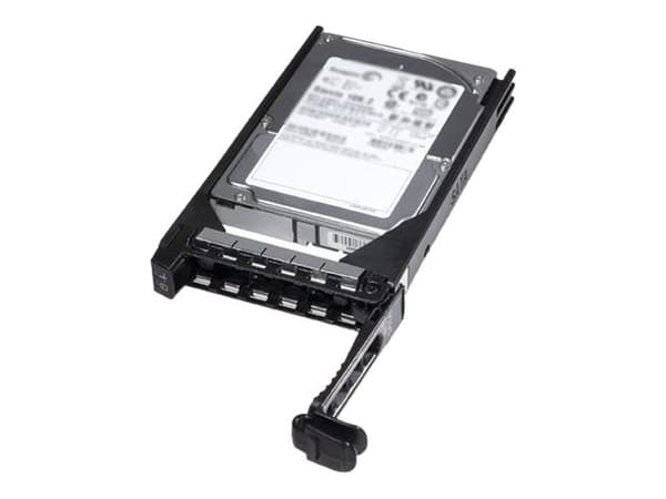 Dell - Harddisk - 1 GB - intern - SAS 6Gb/s - 7200 rpm - for PowerEdge R320, R420, R820, R920, T320, T420; PowerVault MD3220, MD3420, MD3620, MD3820
