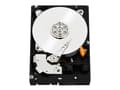 Miniatyrbild 5 av 5: WD Black Performance Hard Drive WD5003AZEX - Hårddisk - 500 GB - intern - 3,5" - SATA 6Gb/s - 7200 rpm - buffert: 64 MB