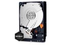 Miniatyrbild 1 av 5: WD Black Performance Hard Drive WD5003AZEX - Hårddisk - 500 GB - intern - 3,5" - SATA 6Gb/s - 7200 rpm - buffert: 64 MB