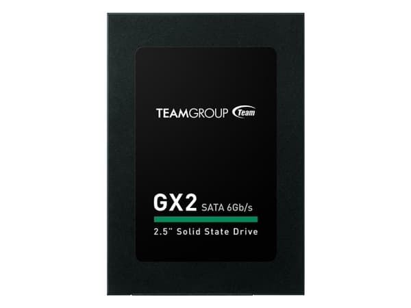 Team Group GX2 - SSD - 256 GB - inbyggd - 2.5" - SATA 6Gb/s - svart
