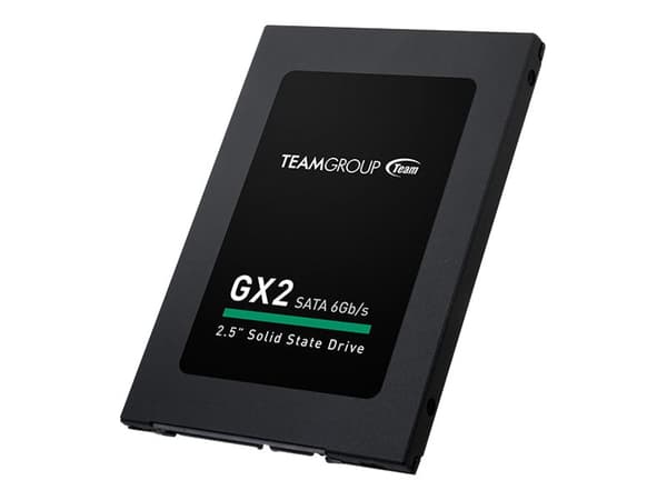 Team Group GX2 - SSD - 256 GB - inbyggd - 2.5" - SATA 6Gb/s - svart