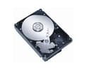 Pikkukuva 3 / 5: CoreParts 600GB 15000rpm, 3.5", 600 GB, 15000 RPM