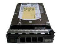 CoreParts 600GB 15000rpm, 3.5", 600 GB, 15000 RPM