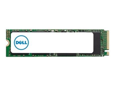 Dell - SSD - 1 TB - inbyggd - M.2 2280 - PCIe - för Latitude 5310, 54XX, 55XX, 7390; OptiPlex 54XX, 70XX, 74XX; Precision 75XX, 77XX