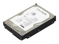 Dell - Hårddisk - 750 GB - intern - 3,5" - SATA 3Gb/s - 7200 rpm - istandsat - för PowerEdge R805, R905, T605