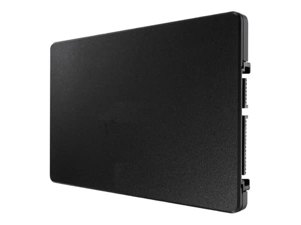 CoreParts - SSD - 256 GB - inbyggd - 2.5" - SATA