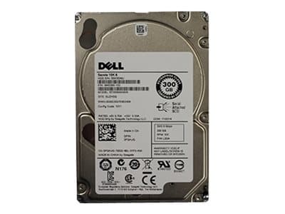 Dell Icke monterad - Hårddisk - 300 GB - intern - 2,5" - SAS 6Gb/s - 10000 rpm - istandsat - för PowerEdge C6220, FC630, FD332, R220, R320, T320, T43