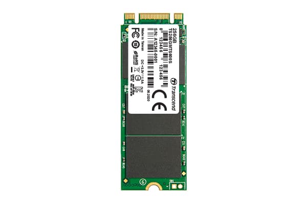 Transcend MTS600S - SSD - 256 GB - intern - M.2 2260 - SATA 6Gb/s