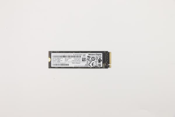 WD - SSD-levy - 256 GB - sisäinen - M.2 2280