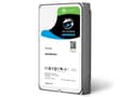 Miniatyrbild 3 av 5: Seagate SkyHawk Surveillance HDD ST4000VX013 - Hårddisk - 4 TB - intern - SATA 6Gb/s - buffert: 256 MB