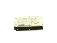 Dell - Hårddisk - 1 TB - intern - 3,5" - SAS - NL - 7200 rpm