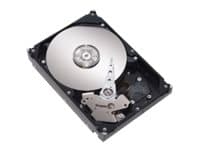 Lenovo - Hårddisk - 500 GB - hot-swap - 2,5" SFF Slim - SATA 3Gb/s - 7200 rpm - för BladeCenter HS22; System x3400 M2; x3500 M2; x35XX M3; x3650 M2;