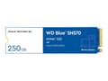 Miniatyrbild 3 av 5: WD Blue SN570 NVMe SSD WDS250G3B0C - SSD - 250 GB - inbyggd - M.2 2280 - PCIe 3.0 x4 (NVMe)