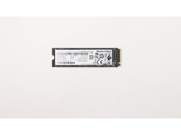 WD - SSD-levy - 1 TB - sisäinen - M.2 2280