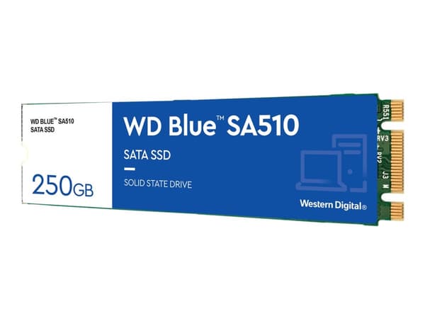 WD Blue SA510 WDS250G3B0B - SSD - 250 GB - inbyggd - M.2 2280 - SATA 6Gb/s - blå