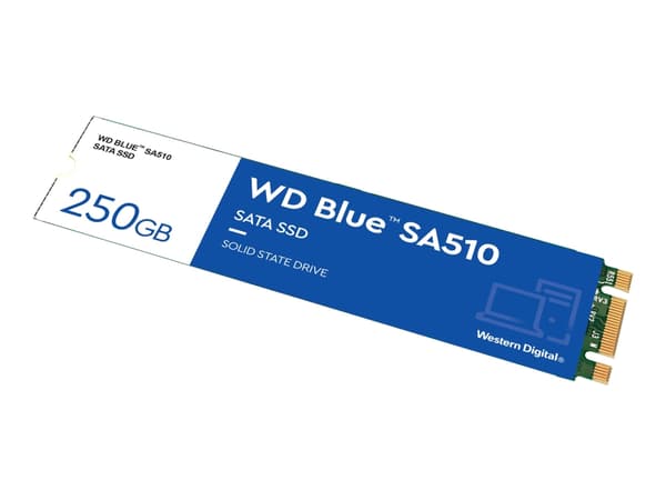 WD Blue SA510 WDS250G3B0B - SSD - 250 GB - inbyggd - M.2 2280 - SATA 6Gb/s - blå