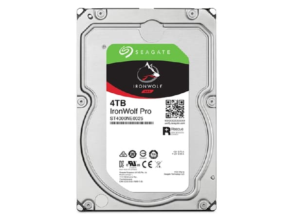 Seagate IronWolf Pro ST4000NT001 - Kiintolevy - 4 TB - sisäinen - 3,5" - SATA 6Gb/s - 7200 rpm - puskuri: 256 MB - 3 vuoden Seagate Rescue Data Recov