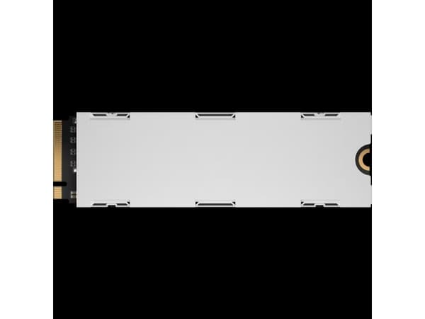 CORSAIR Force Series MP600 PRO LPX - SSD - 1 TB - intern - M.2 2280 - PCIe 4.0 x4 (NVMe) - 256-bit AES - integrert kjøle