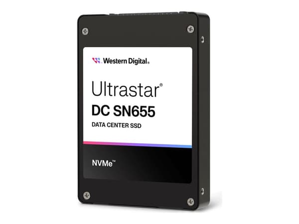 WD Ultrastar DC SN655 WUS5EA138ESP7E1 - SSD - 3,84 TB - intern - 2,5" - U.3 PCIe 4.0 (NVMe)