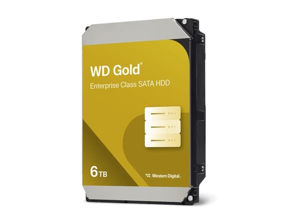 WD Gold WD6004FRYZ - Hårddisk - 6 TB - intern - 3,5"