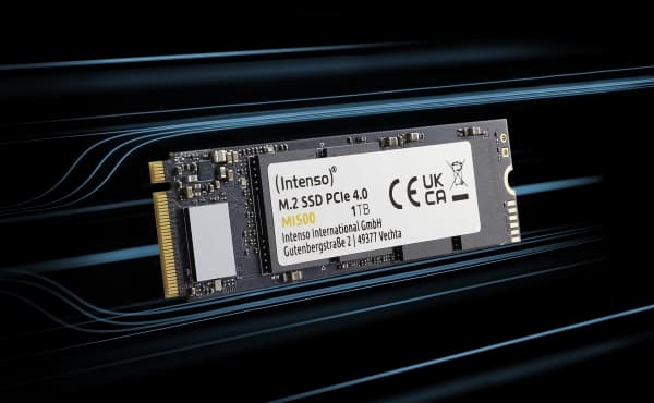 Intenso MI500 - SSD - 500 GB - inbyggd - M.2 2280 - PCIe 4.0 x4 (NVMe)